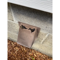 A damaged dryer vent outside of a client's home. 
